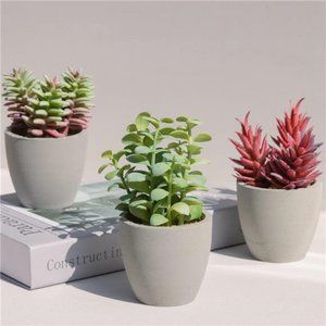 Artificial Plants, 3 Pack Realistic Faux Succulents in Pots with Flowers